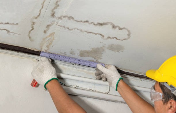 Reliable Water Damage Repair contractor in Saint Albans, ME by Hirex Water Damage